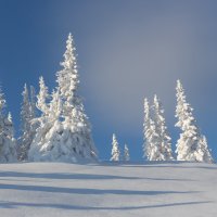 Зима на горе Машак :: Евгений Тарасов 