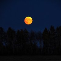 Лунный вечер. :: nadyasilyuk Вознюк