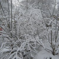 Снежной зимой :: Елена Семигина
