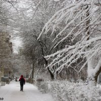 Зима в Ростове-на-Дону :: Нина Бутко