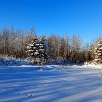 прекрасный день :: Владимир 