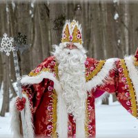 Я всем известный Дед Мороз! И вам морозы я принес! :: Александр Орлов