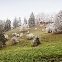 Berge Jura :: Elena Wymann