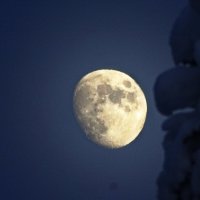 Лунный пейзаж :: Павел Трунцев
