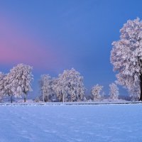 winter's fairytale :: Elena Wymann