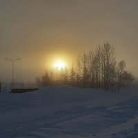 В зимнем тумане :: Ольга 