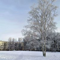 А за окном зима. :: Мария Васильева