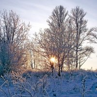 Зимний закат :: VasiLina *