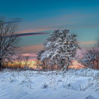 Закат зимой :: Геннадий Клевцов