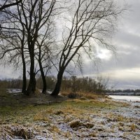 Возле Заводи. Январь :: Евгений 