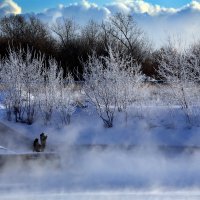 -24С 13 января в Коломенском :: Михаил Бибичков