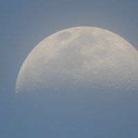 Одна половина Луны :: Алла Яшникова
