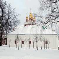 Зима в Новодевичьем монастыре :: Алла Захарова