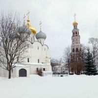 Зима в Новодевичьем монастыре :: Алла Захарова