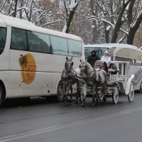 прогулка :: Светлана Баталий