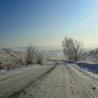 Зимняя дорога. :: nadyasilyuk Вознюк