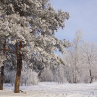 Зима продолжается :: Наталия Григорьева