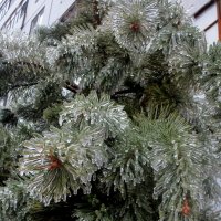 Ледяной дождь-2 :: Надежда Борисенко