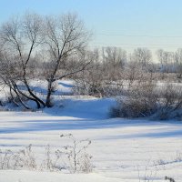 Зимние январские краски. :: Михаил Столяров