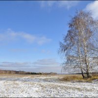 Первый снег :: vedin 