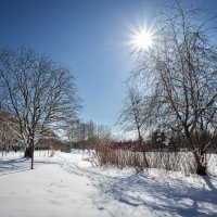 В зимнем парке... :: Сергей Кичигин