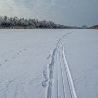 По снежной целине :: Владимир Жуков
