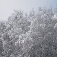 Зимний пейзаж :: Сергей Расташанский