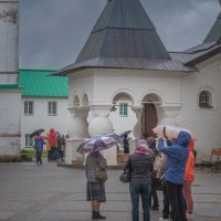 Непогода не помеха :: Олег Грибенников
