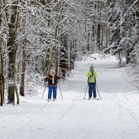 Не молодые лыжницы. :: Милешкин Владимир Алексеевич 