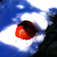 Гранат на снегу :: Юрий Гайворонский
