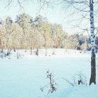 Лесное зимнее озерко :: Raduzka (Надежда Веркина)