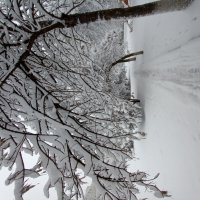 Зима во дворе :: tatyana 