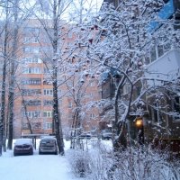 Зимним утром :: Елена Семигина