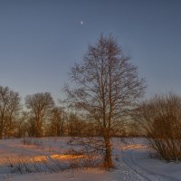 В пойме Клязьмы :: Сергей Цветков