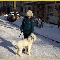 Прогулка с белой собакой! :: Нина Андронова