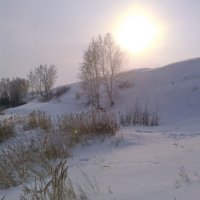 Солнце в пасмурном дне. :: сергей 