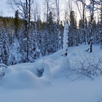 Низинка :: Павел Трунцев