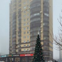 Зима в тумане :: Татьяна Машошина