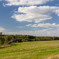 Классический пейзаж. :: Alexandr Gunin