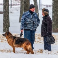 Встреча. :: Анатолий. Chesnavik.