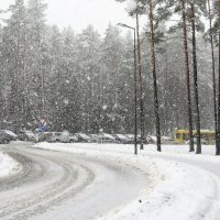 Снегопад :: Ирина Олехнович