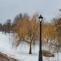 Фонарь в парке :: Денис Кашкан