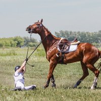 Кросс :: SanSan 