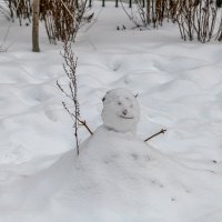 Тает снеговик :: Валерий Иванович