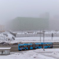 Февральский туман :: Валерий Иванович