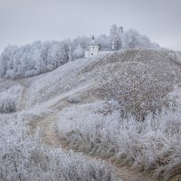 **** :: Елизавета .