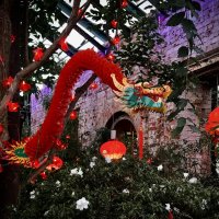 Китайский дракончик в оранжерее :: Любовь 