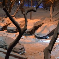 Под снежным одеялом :: Oleg4618 Шутченко