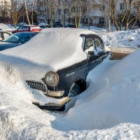 Раритет под снегом :: Валерий Иванович