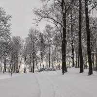 Подружки на горушке :: Регина 